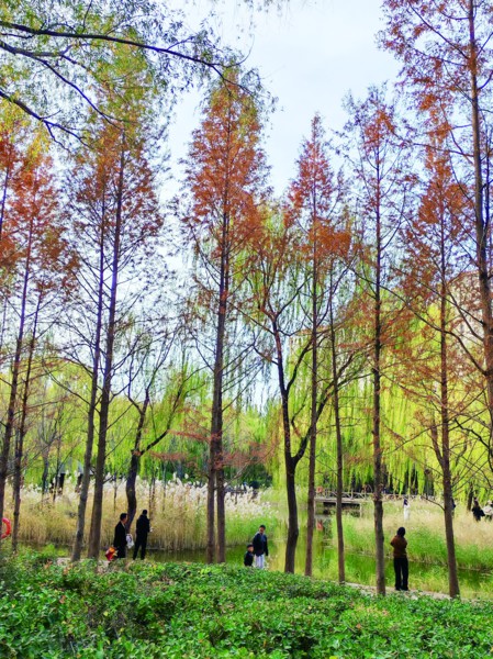 百姓身边的好花园、好公园、好绿道、好街道将越来越多